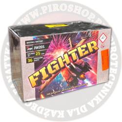 JW201 Fighter