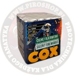 M04 Cox