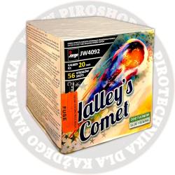 JW4092 Halleys Comet