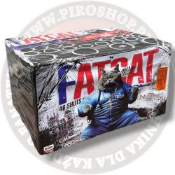 C48XMF14 Fat Cat