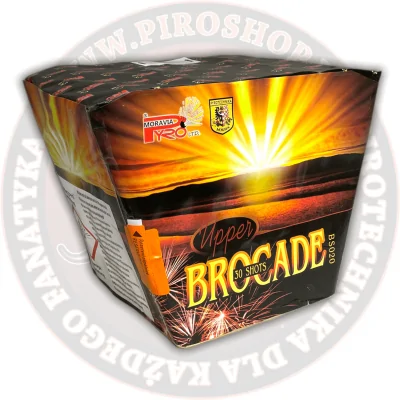 BS020 Upper Brocade